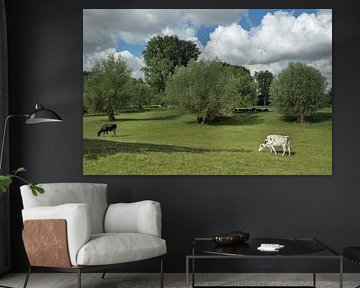 Paysage dans les plaines alluviales du Rhin inférieur