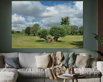 Paysage dans les plaines alluviales du Rhin inférieur