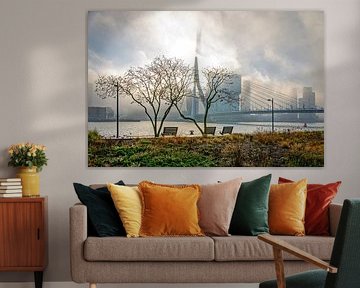 De schaduw van de Erasmusbrug van Frans Blok - foto's, kunst en andere wanddecoratie