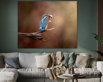 Gotcha!!! by Costas Ganasos