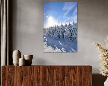 Une forpet givrée après la tempête sur Claude Laprise