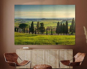 Paysage de coucher de soleil en Maremme. Collines et cyprès sur Stefano Orazzini