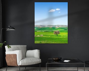 Vue de la campagne des Pouilles, olivier, champs et petits nuages sur Stefano Orazzini