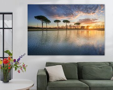 Des pins et un petit étang dans la campagne de la Maremme sur Stefano Orazzini