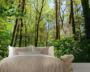 Boswandeling in de zomer