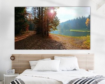 Journée d'automne ensoleillée dans la forêt