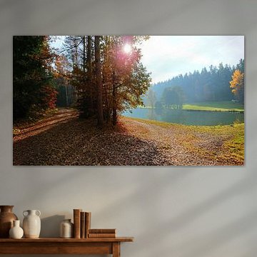 Sonniger Herbsttag im Wald