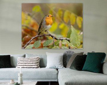Rotkehlchen im Herbst von Karen de Boer