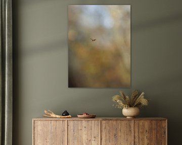 Hoverfly in the sky by Karen de Boer