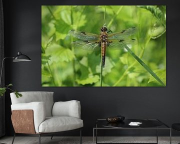 Four-spot by Matthias Brix