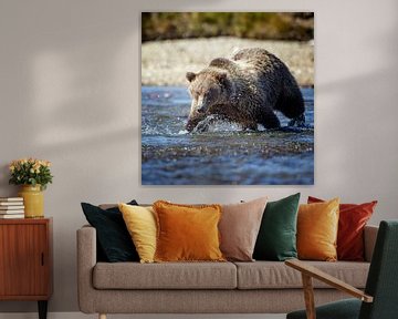 Grizzly beer 