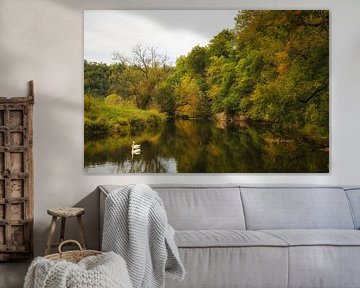 Paysage riverain du Danube près d'Inzigkofen avec deux cygnes dans le parc naturel du Haut-Danube sur BlattArt - Christine Horn