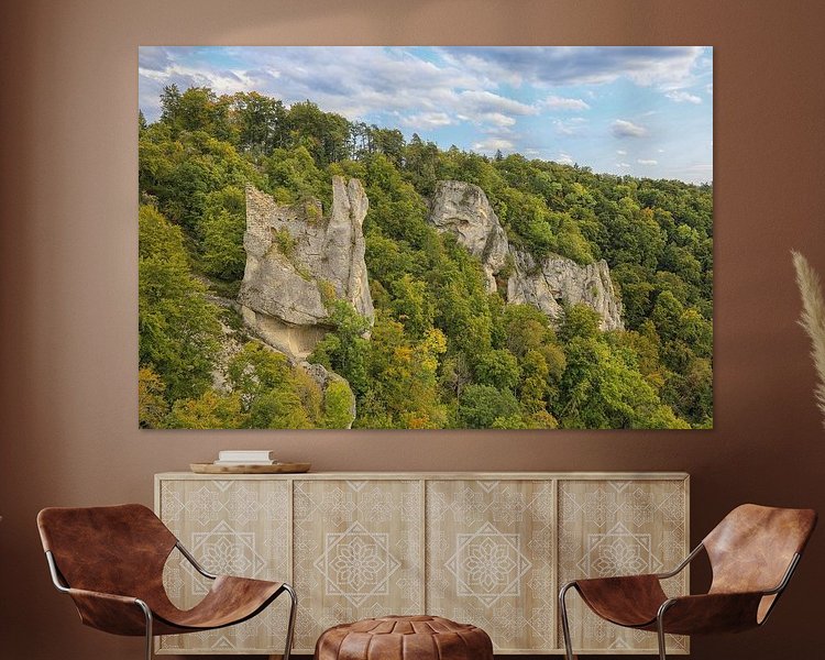 Aperçu de la chambre