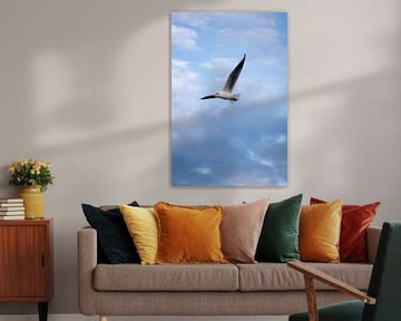 Weightless freedom: Flying seagull in the cloudy sky by Nils Steiner