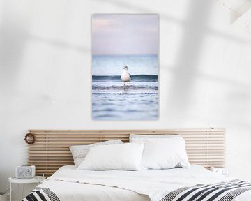 La sérénité nordique : une mouette dans le doux jeu des vagues sur Nils Steiner