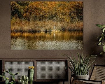 Héron cendré sur la rive du Schwenninger Moos près de Villingen-Schwenningen sur BlattArt - Christine Horn