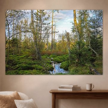 Slijklandschap in Schwenninger Moos - Baden-Württemberg van BlattArt - Christine Horn