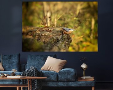 Nuthatch foraging in the Schwenninger Moos by BlattArt - Christine Horn