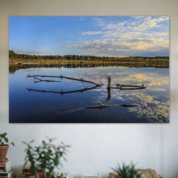 Paysage riverain du Schwenninger Moos avec bois mort - Bade-Wurtemberg sur BlattArt - Christine Horn