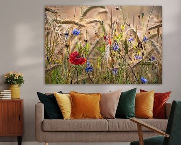 Summer meadow poetry - cornflowers & poppies in a golden cornfield by Tanja Riedel