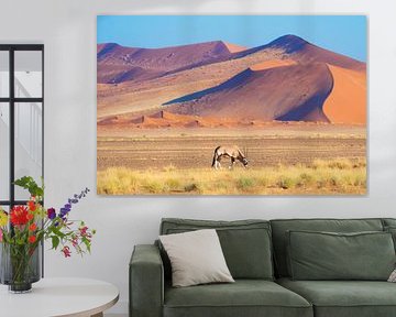 Oryx antelope near the desert by Matthias Spartz