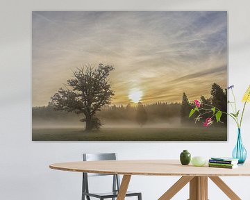 Soleil et brouillard un matin d'octobre à Irndorfer Hardt - Parc naturel du Haut-Danube sur BlattArt - Christine Horn