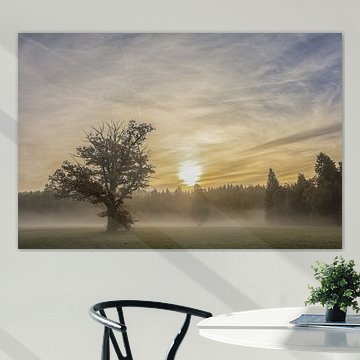 Zon en mist op een ochtend in oktober in Irndorfer Hardt - Natuurpark Opper-Donau