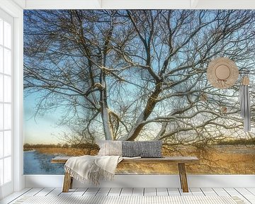 Met sneeuw bedekte boom op de hei