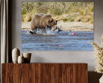 Grizzly beer jagend op rode zalm  van Menno Schaefer