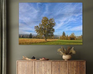 Paysage d'automne Irndorfer Hardt avec soleil et derniers restes de brouillard - Naturpark Obere Donau sur BlattArt - Christine Horn