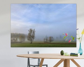 Brouillard matinal dans le Irndorfer Hardt - Parc naturel du Haut-Danube sur BlattArt - Christine Horn