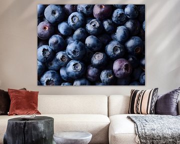 Blueberries in rich ultramarine