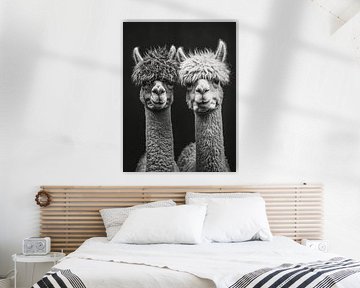 Alpaca power couple | No drama, just llamas by Frank Daske | Foto & Design