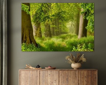 Waldweg mit Buchen, morgens.