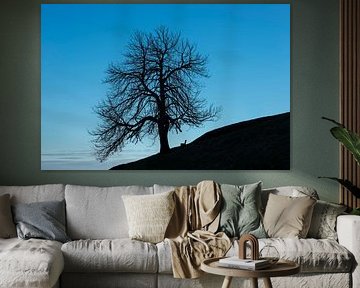 Stille im Spätherbst