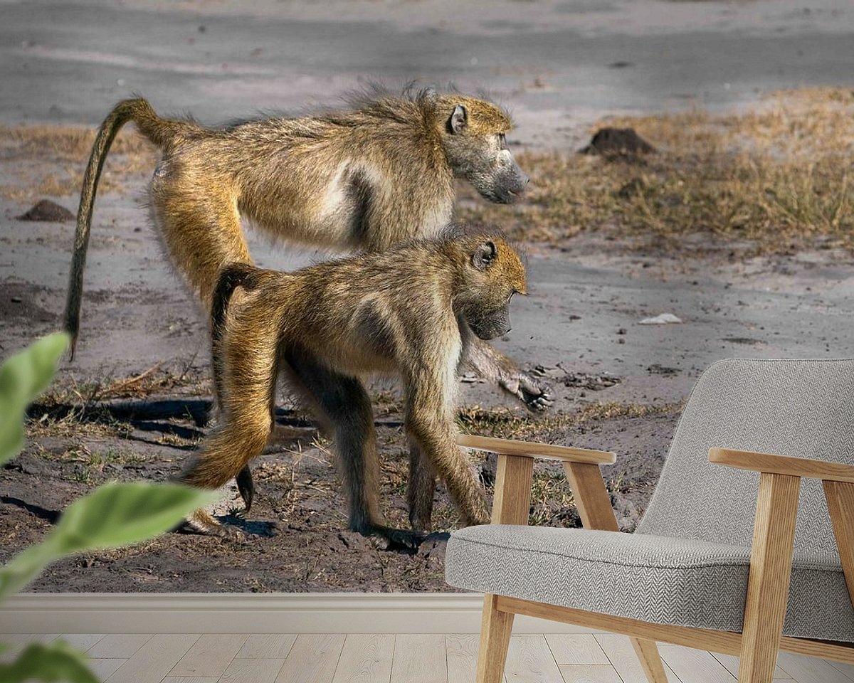 Raumvorschau