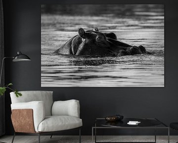 Un regard d'une grande puissance sur Johannes Jongsma