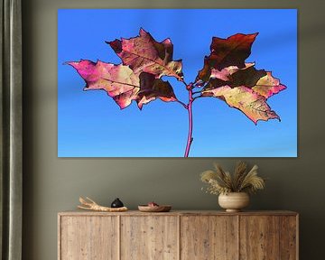 Herfst licht in digitale droom ( Amerikaanse eik ) van Jose Lok