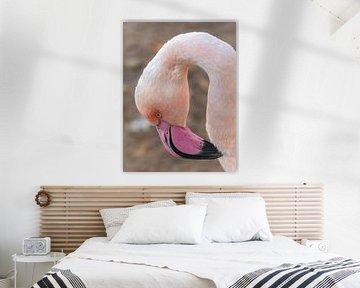 Flamant dans des tons pastel sur Triki Photography