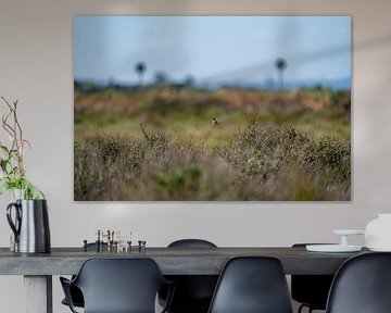 Regarder vers l'avant