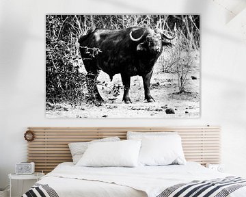Afrikaanse Buffel zwart-wit van Dexter Reijsmeijer