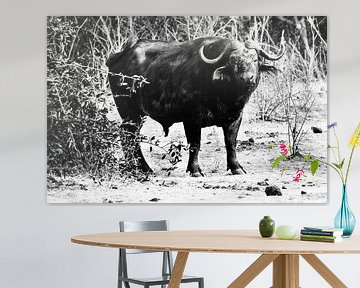 Afrikaanse Buffel zwart-wit by Dexter Reijsmeijer