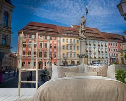 Aperçu de la chambre