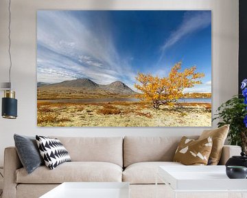 Doralen herfst van Sven-Erik Arndt