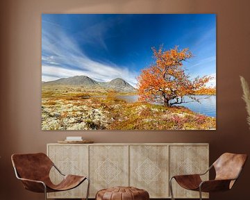 Doralen herfst van Sven-Erik Arndt