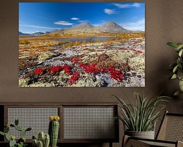 Doralen herfst van Sven-Erik Arndt