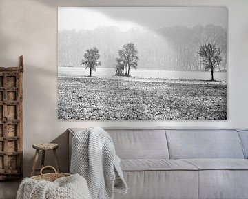 Wintery, snow-covered pasture in the Oderbruch - monochrome by Silva Wischeropp