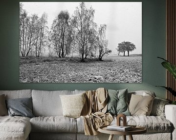 Light snowfall in the magical, wintry Oderbruch - monochrome by Silva Wischeropp