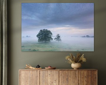 Elbtalaue von Sven-Erik Arndt