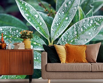 Winterijsdruppels op groen gebladerte van Silva Wischeropp